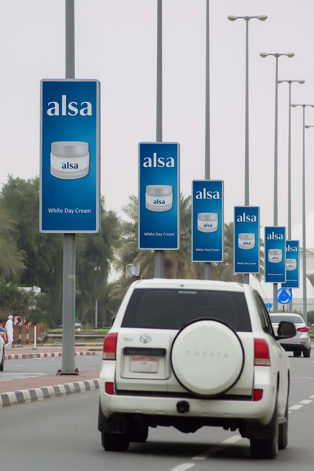 Pole Kiosk Advertising in Spring Field Colony - Faridabad